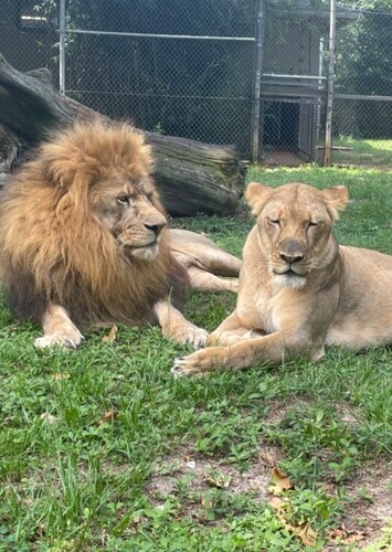 Gulf Breeze Zoo