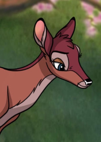 Gurri (Doe)