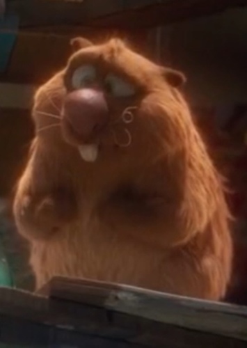 Gus