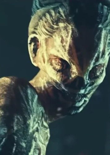 Hag
