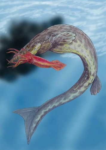 Hainosaurus