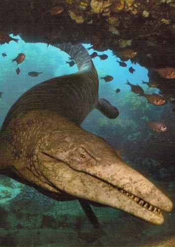 Halisaurus