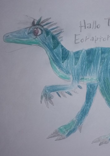 Hallo