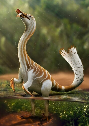 Halszkaraptor