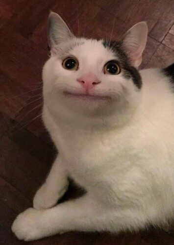 Harold