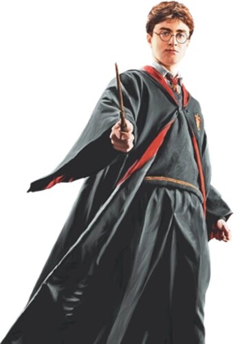 Harold James Potter