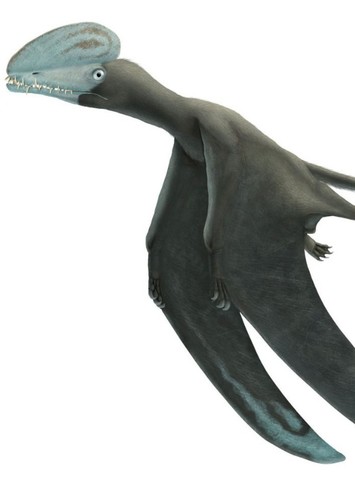 Harpactognathus