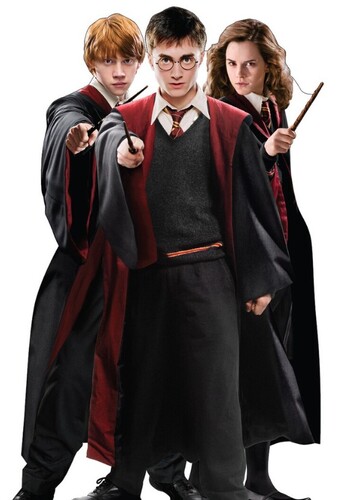 Harry Potter, Ron Weasley, and Hermione Granger
