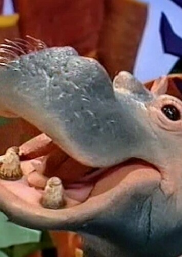 Harry the Hippopotamus