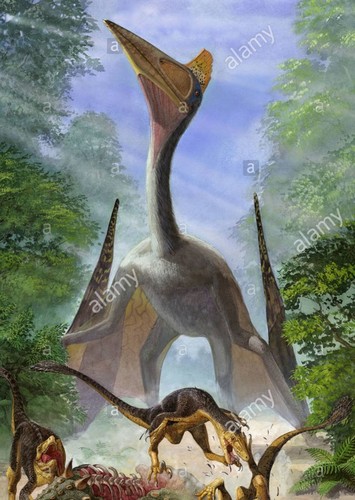 Hatzegopteryx