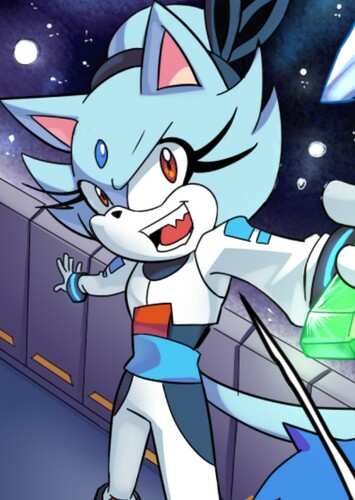 Havoc The Cat