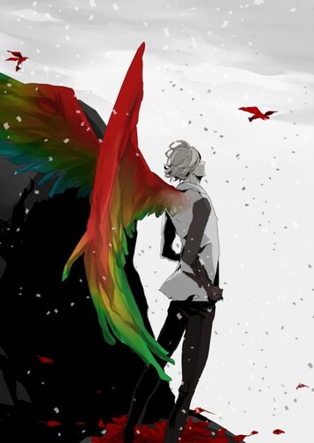 Hawks