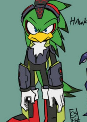 Hawk