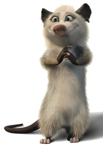 Heather The Opossum