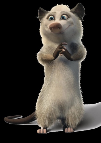 Heather the Possum