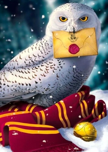 Hedwig