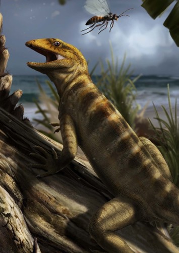 Heleosaurus