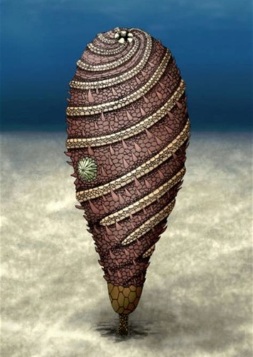 Helicocystis