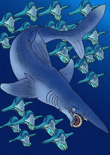Helicoprion