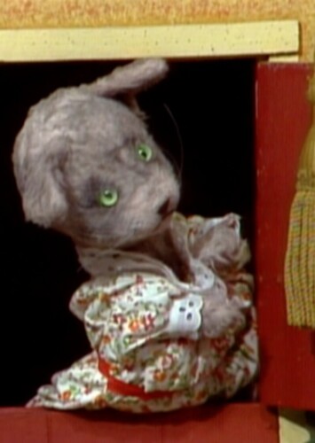 Henrietta Pussycat