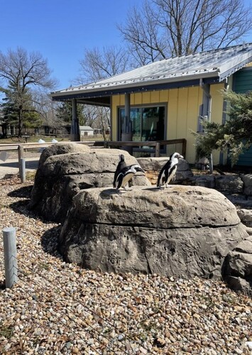 Henson Robinson Zoo