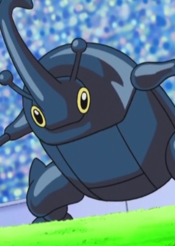 Heracross