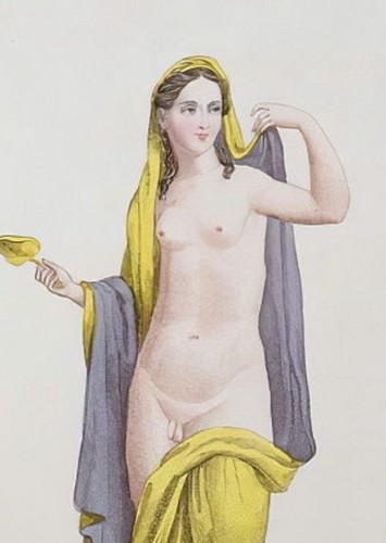 Hermaphrodite