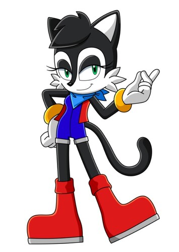 Hershey The Cat