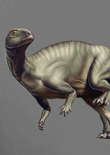Hesperonyx