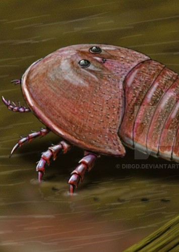 Hibbertopterus
