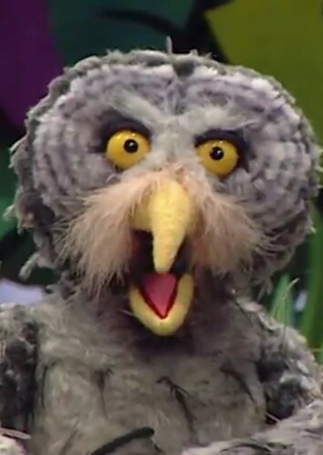 Hillary the Owl