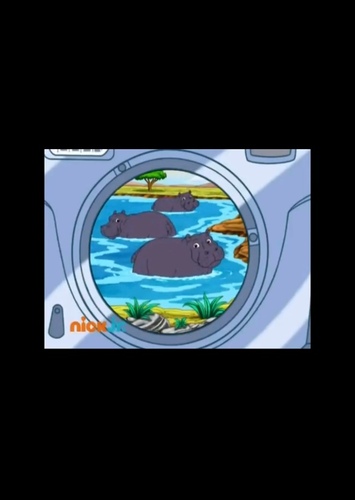 Hippo