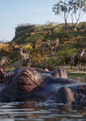 Hippo