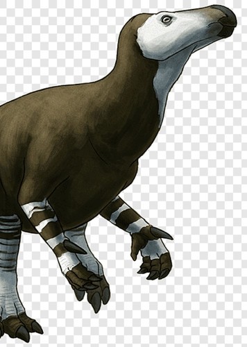 Hippodraco