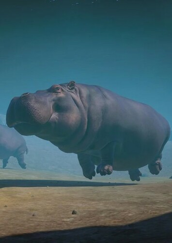 Hippopotamus