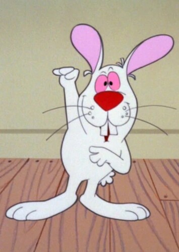 Hocus Pocus the Rabbit