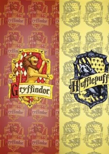 Student at Hogwarts (Cameo)