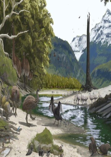 Holocene New Zealand