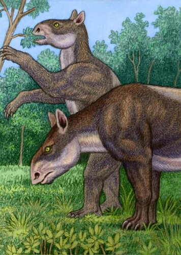 Homalodotherium