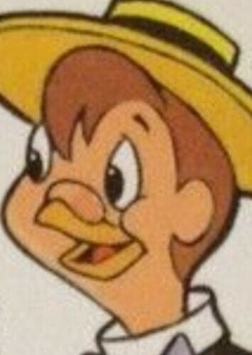 Homer Pigeon