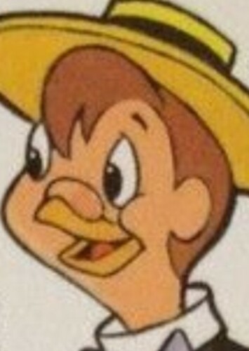 Homer Pigeon