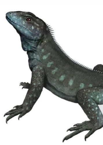 Homoeosaurus