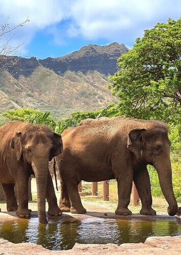 Honolulu Zoo