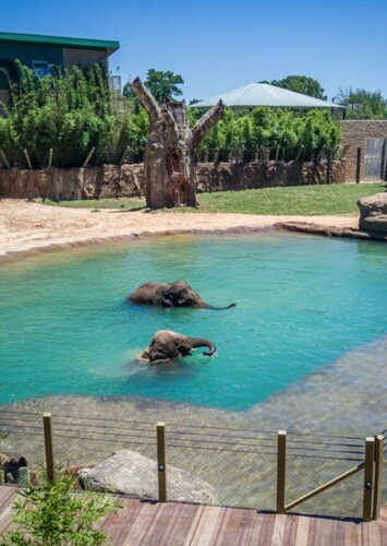Houston Zoo