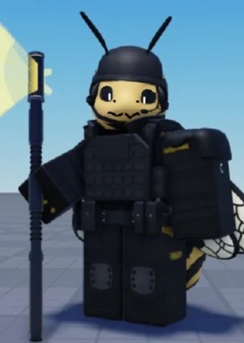 HSD Assaulter