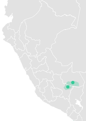 Huachipaeri
