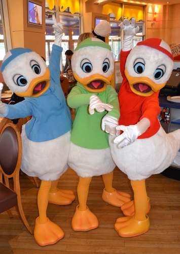 Huey, Dewey & Louie