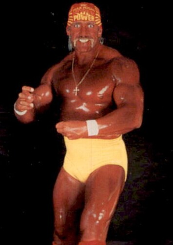 Hulk Hogan