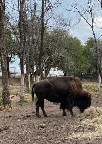 Hutchinson Zoo