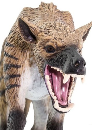 Hyaenodon